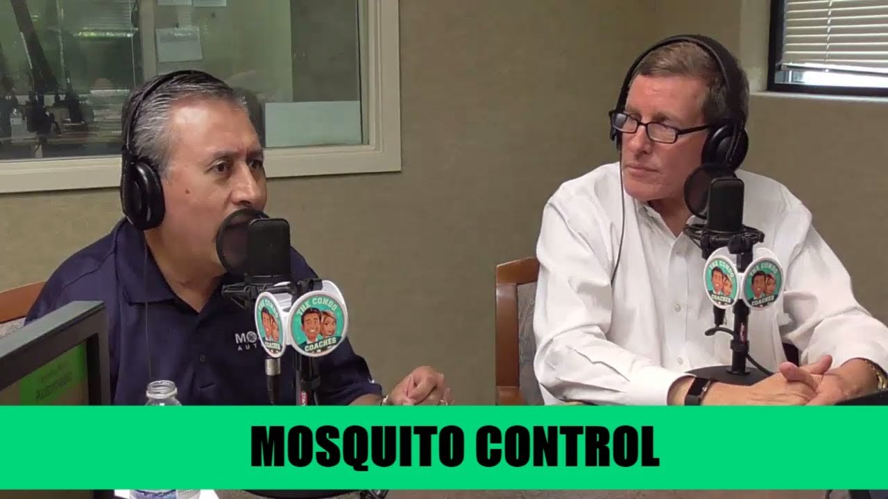 Mosquito, The Florida State Bird - #51, The Condo Coaches