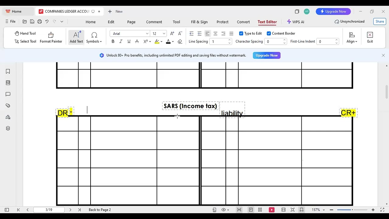 Grade 12 Companies ledger accounts(ordinary share capital)