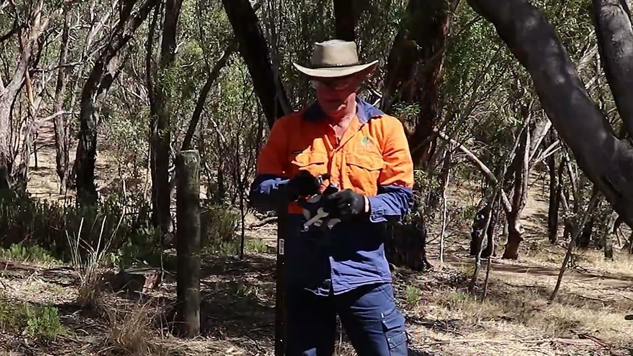 Photopoint monitoring and trail camera setup