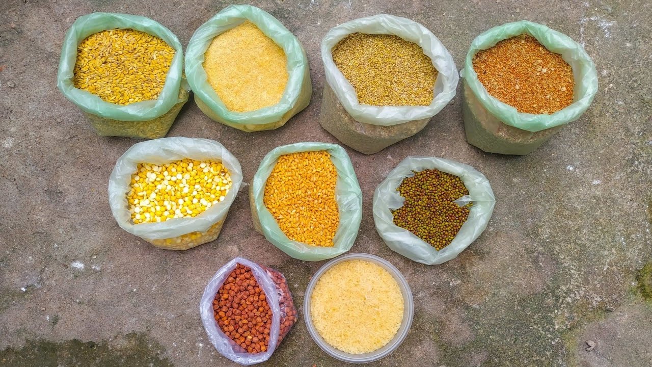 புறக்களுக்கு சிறந்த உணவுகள் || best food in pigeon || tamil  ||தமிழ் ||