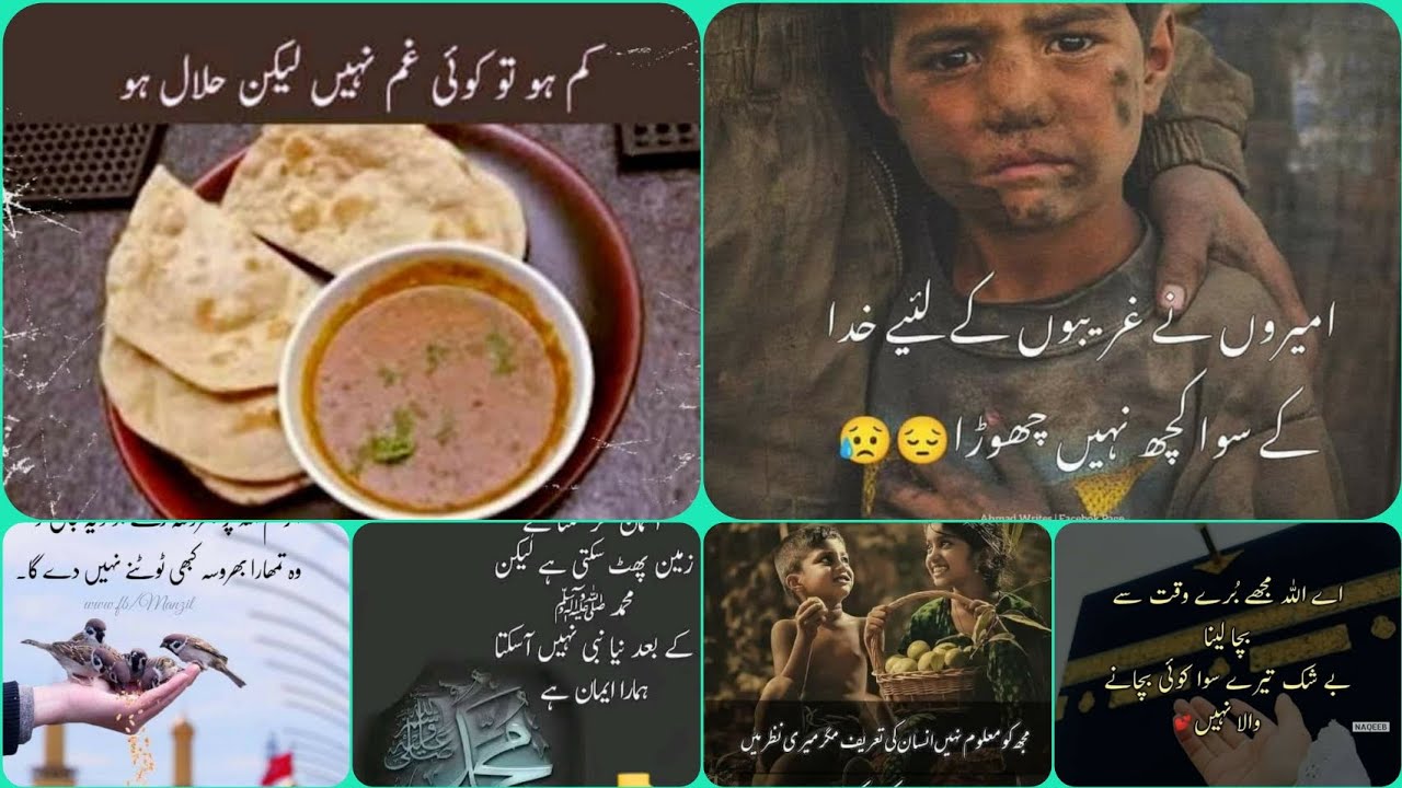 Motivational quotes 👌about life /Best lines in urdu/Words nayab/