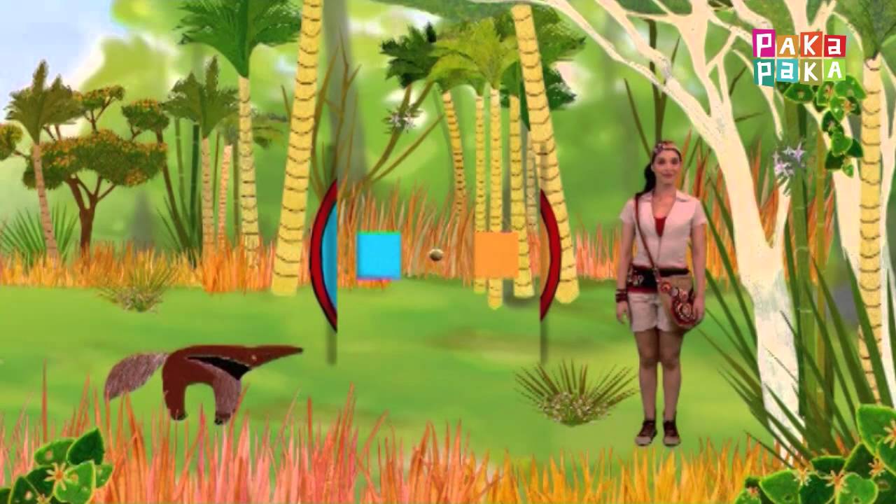 Animapaka I: Oso Hormiguero (Cap. 25) - Canal Pakapaka