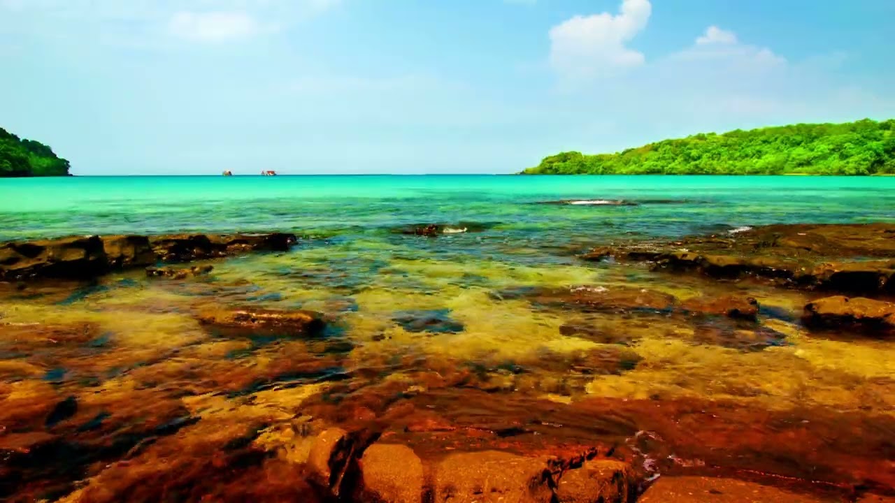 UPLIFTING Peaceful 20min of Nature Scenes set to Ambient Frequencies