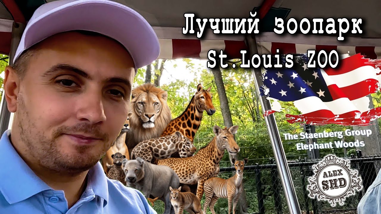 Лучший зоопарк в St. Louis