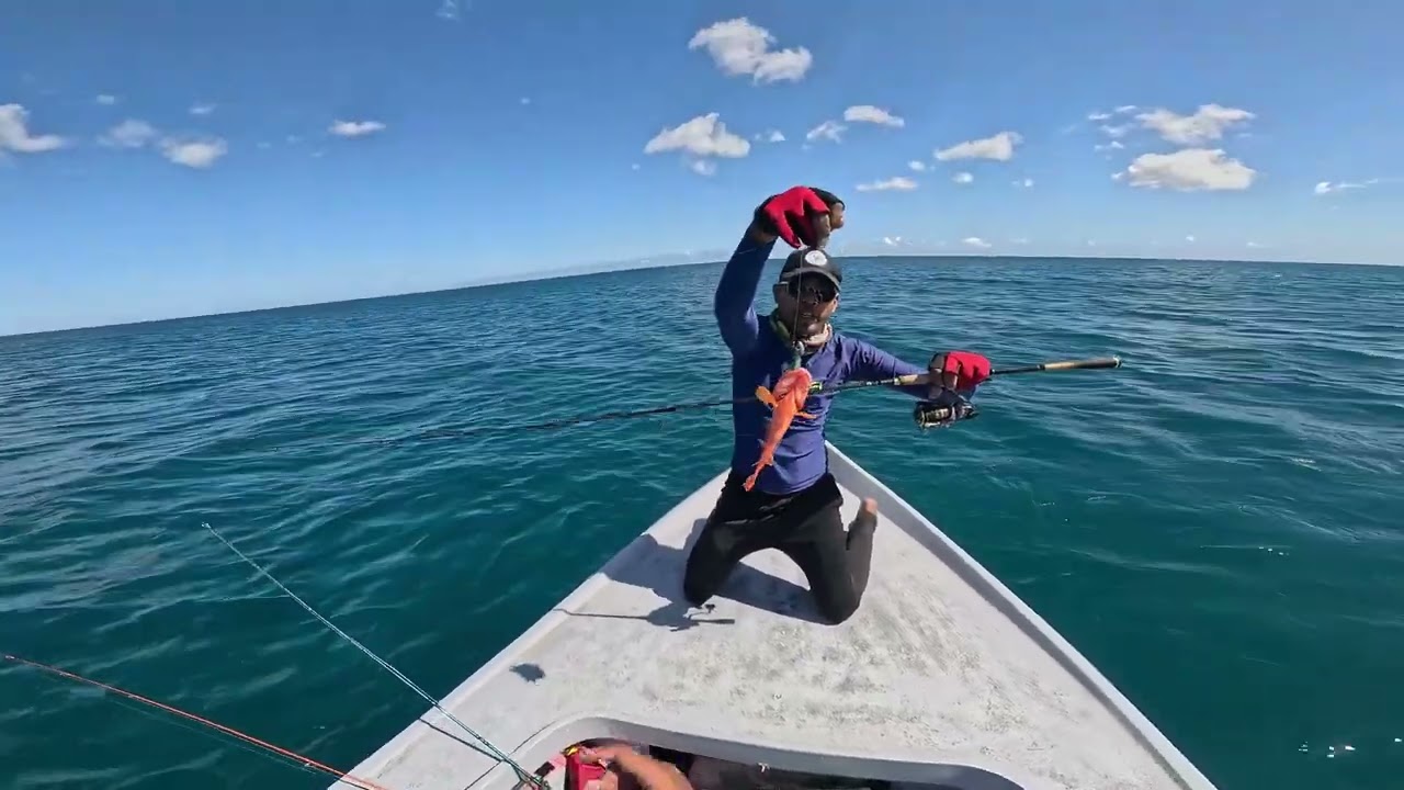 Testing of Shuriken softbait sky and shuriken storm and warhead.