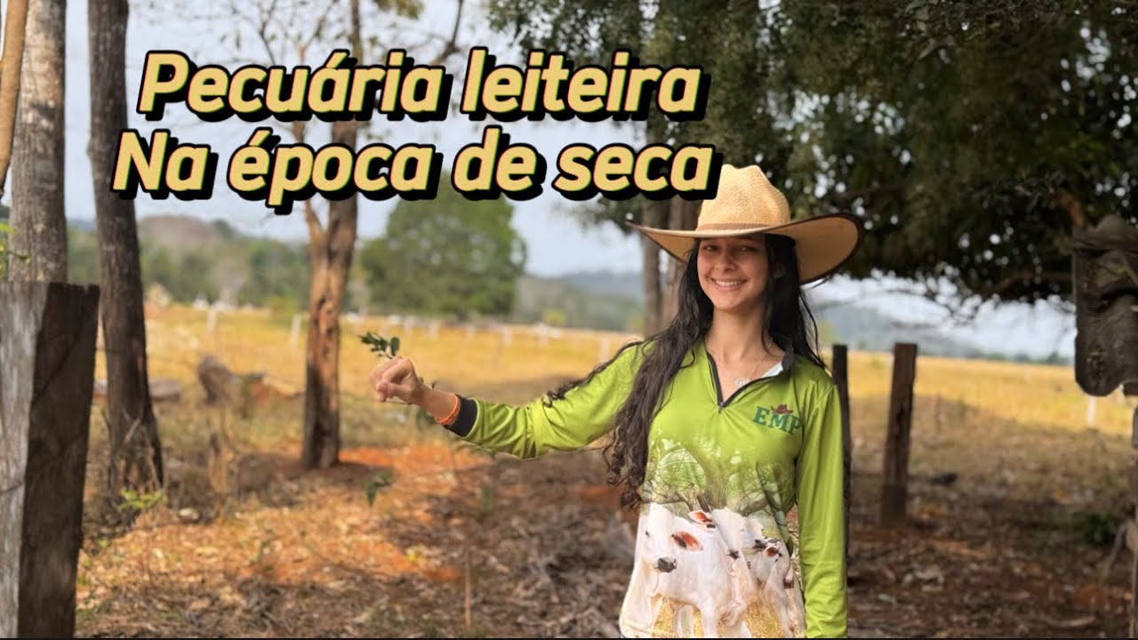 Período de seca/ quantos litros de leite estamos tirando 