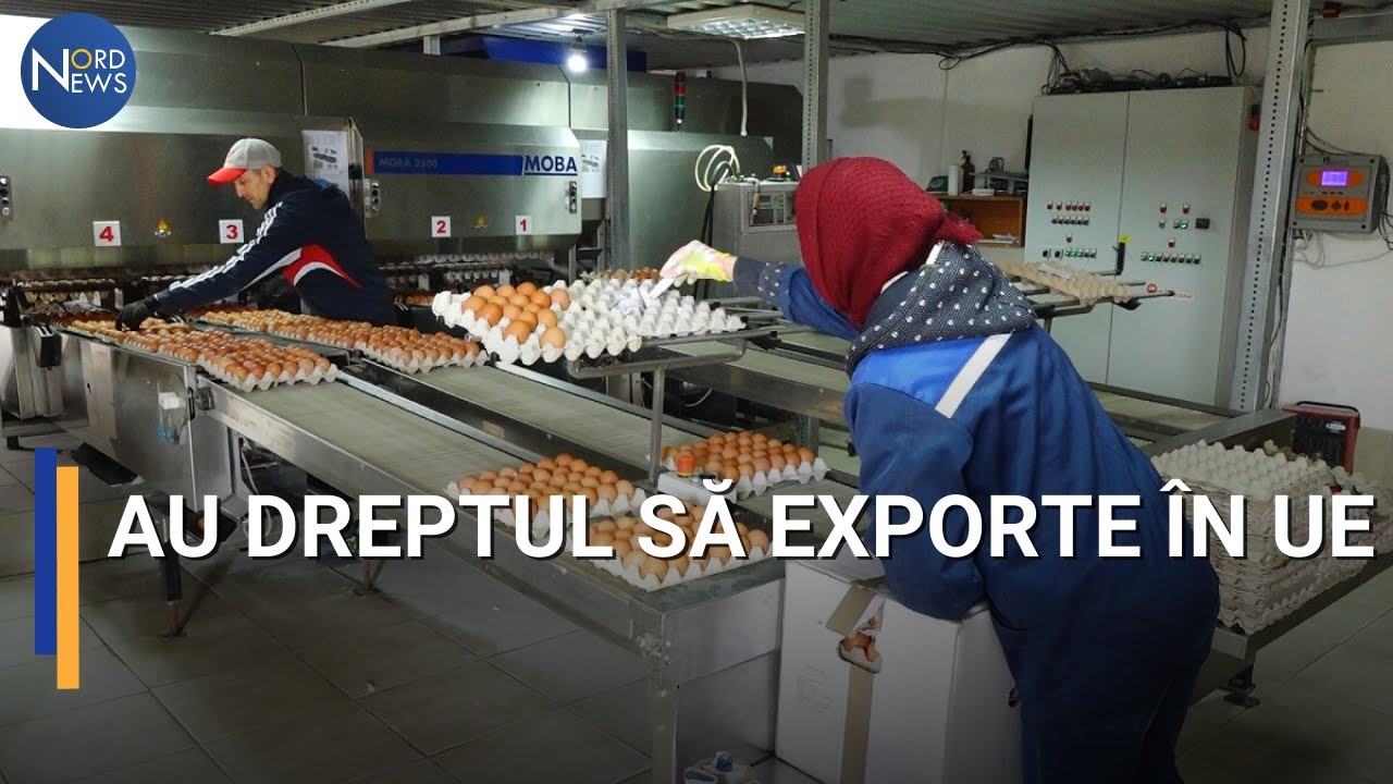 Vestea bună pentru producătorii avicoli din R. Moldova vine și cu provocări
