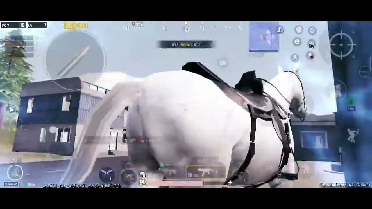 Sang ช่องนี้เล่นเกมค่ะตานี้ชนะสักที