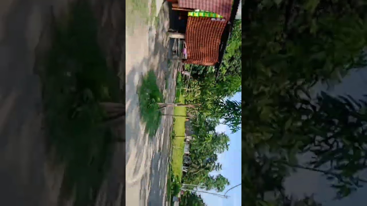 travel tech nagaw village assam