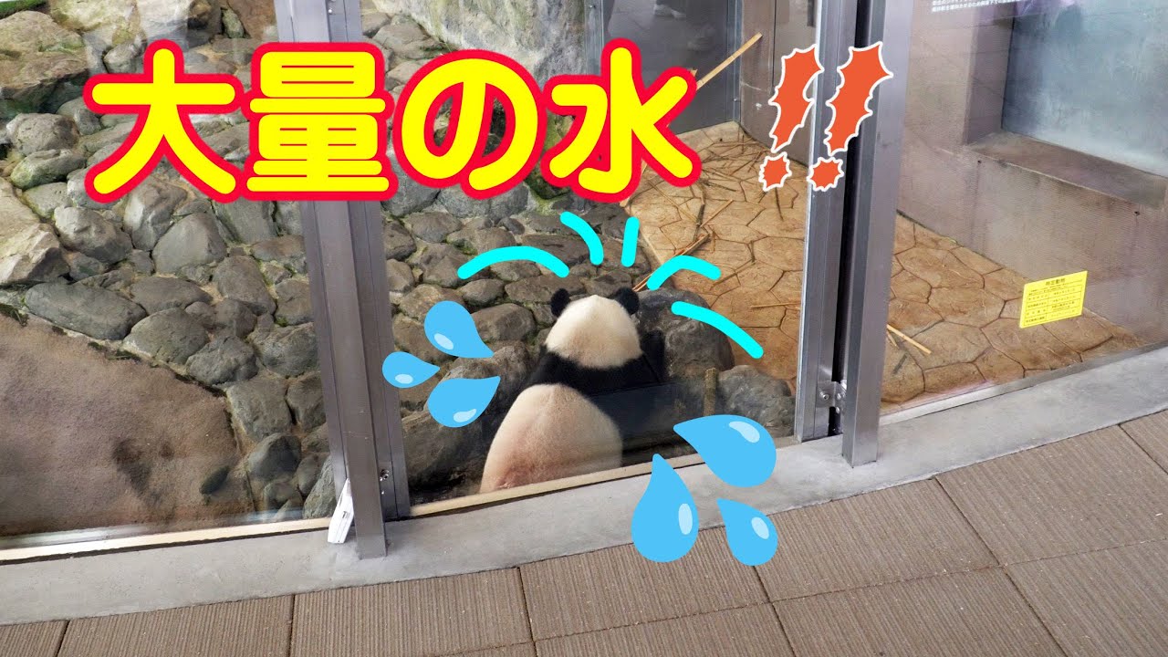 またワルサするんかー！、水栓緩めて水ジャージャー😆ポンポコ楓浜の水栓抜かし、とうとうワルサもここまで来たか