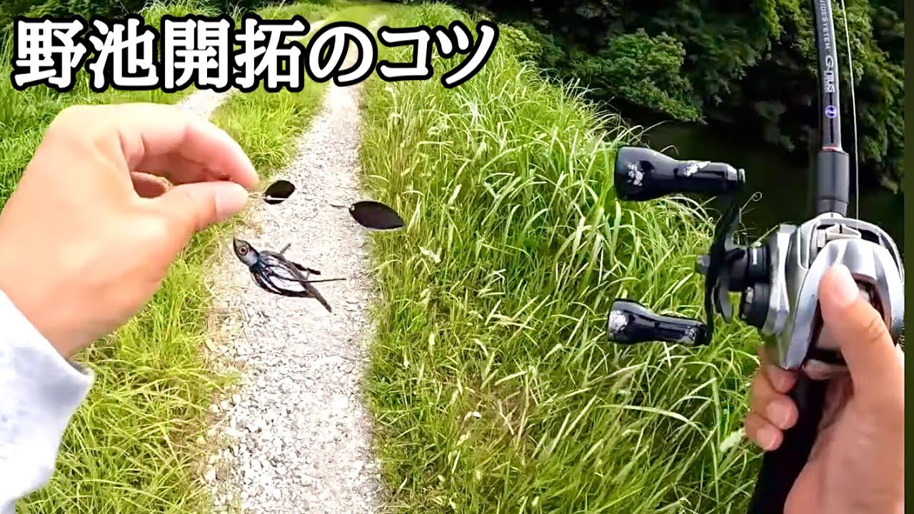 バスが釣れる場所を見つけるコツやオススメのルアーなど解説します