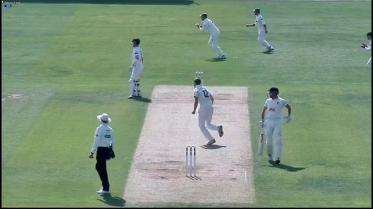 CRAIG OVERTON: ALL 46 WICKETS IN 2017 [HD]