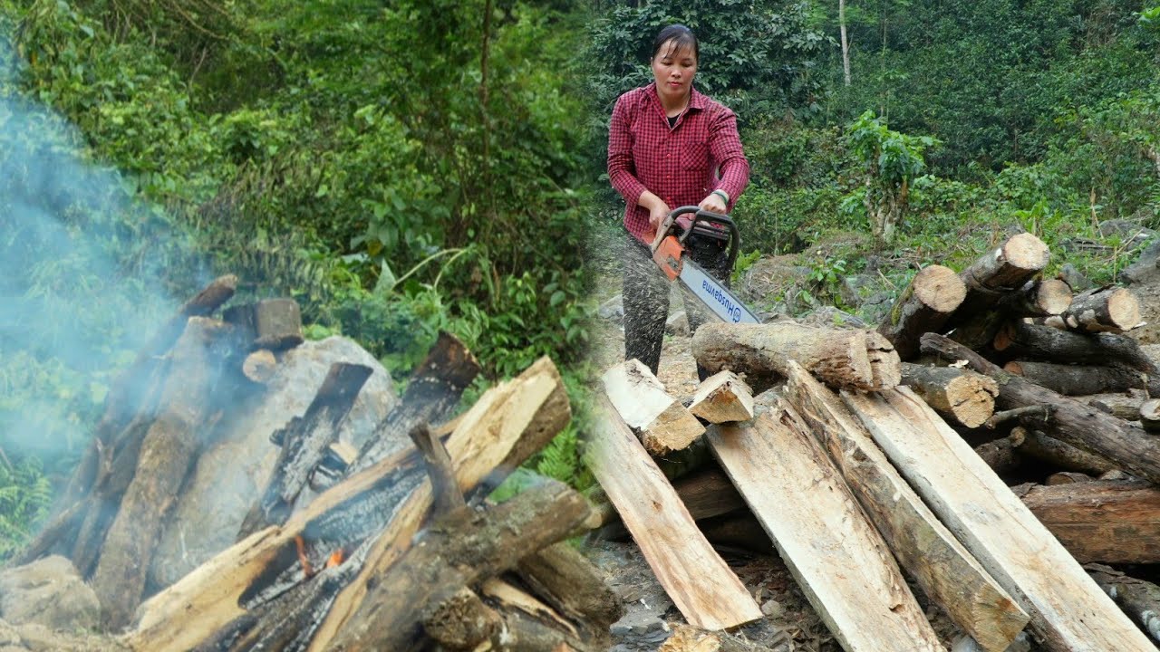 Buy a wood cutting machine, break up large rocks with fire, Prepare the site for building a house
