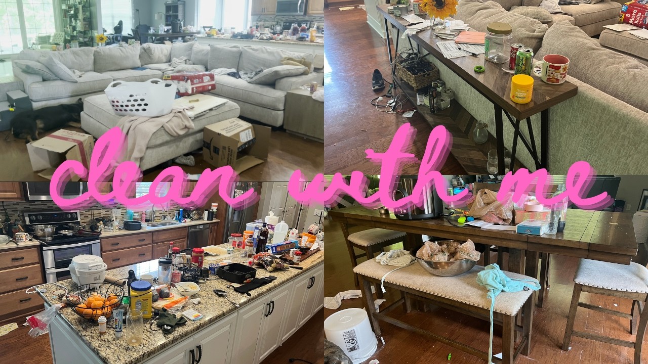 New Clean With ME! It IS what it IS (and its not great)