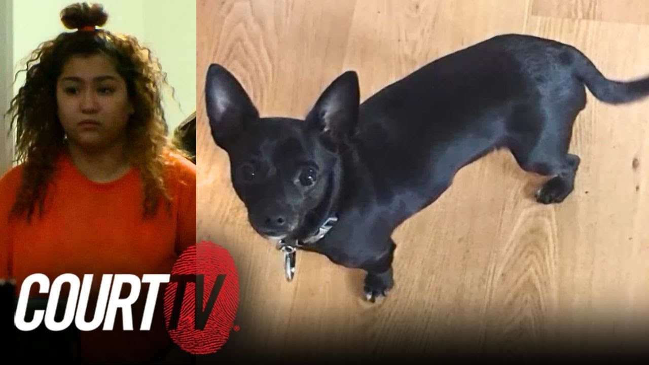 Sentencing: Chihuahua Stabbed Case | WI v Kielee Sonnemann