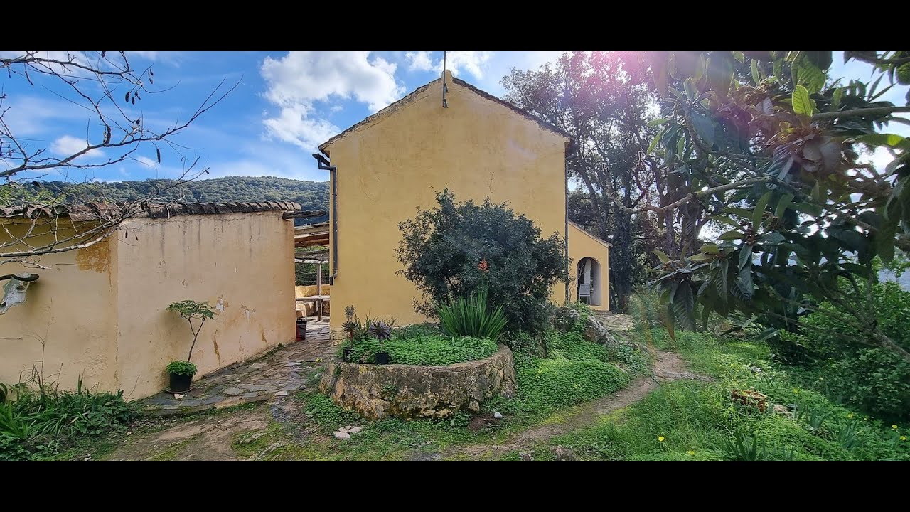 Forest retreat Andalucia