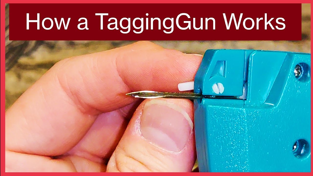 TaggingGun 101 — как они работают и как их исправить