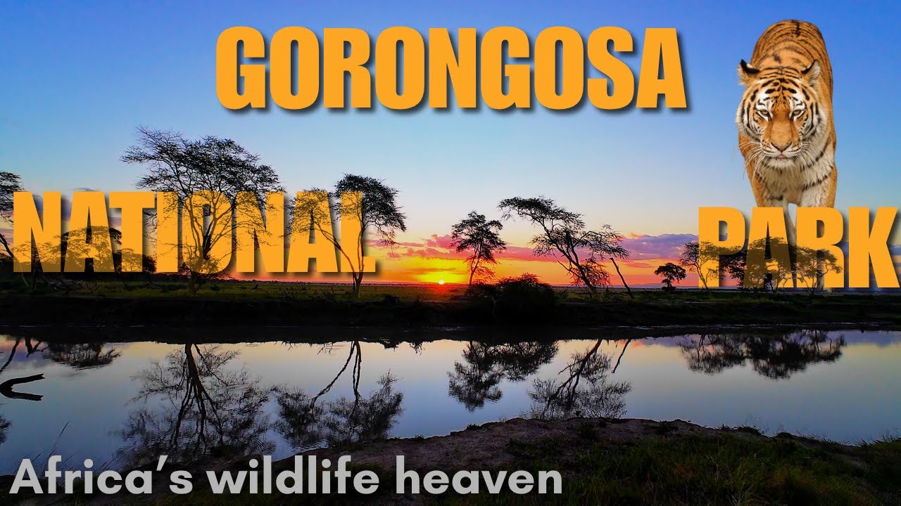 Gorongosa national park: Top things to do. #mozambique #safari #sunset #travel #camping #africa