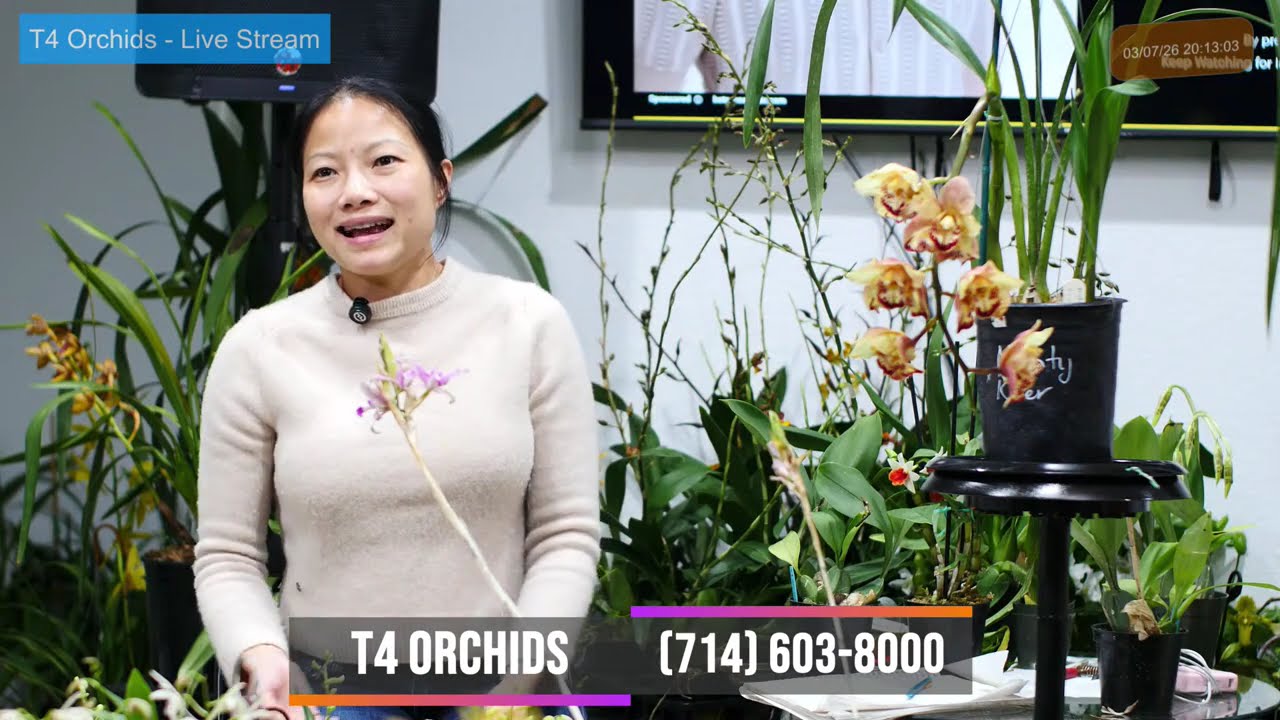 T4 Orchids ~ Livestream Mar 07, 2026  ~ Sell & Trade All Orchids Collections~ (714) 603-8000