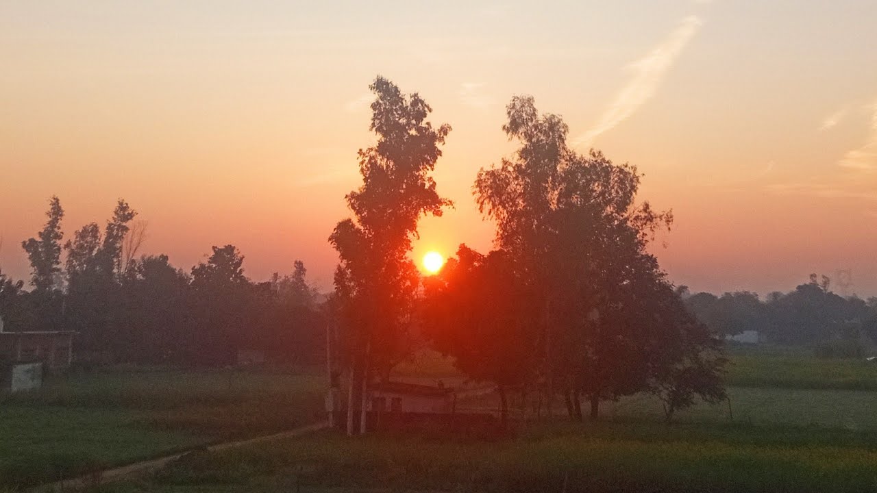🌺🙏सुप्रभात दोस्तों 🌺🙏