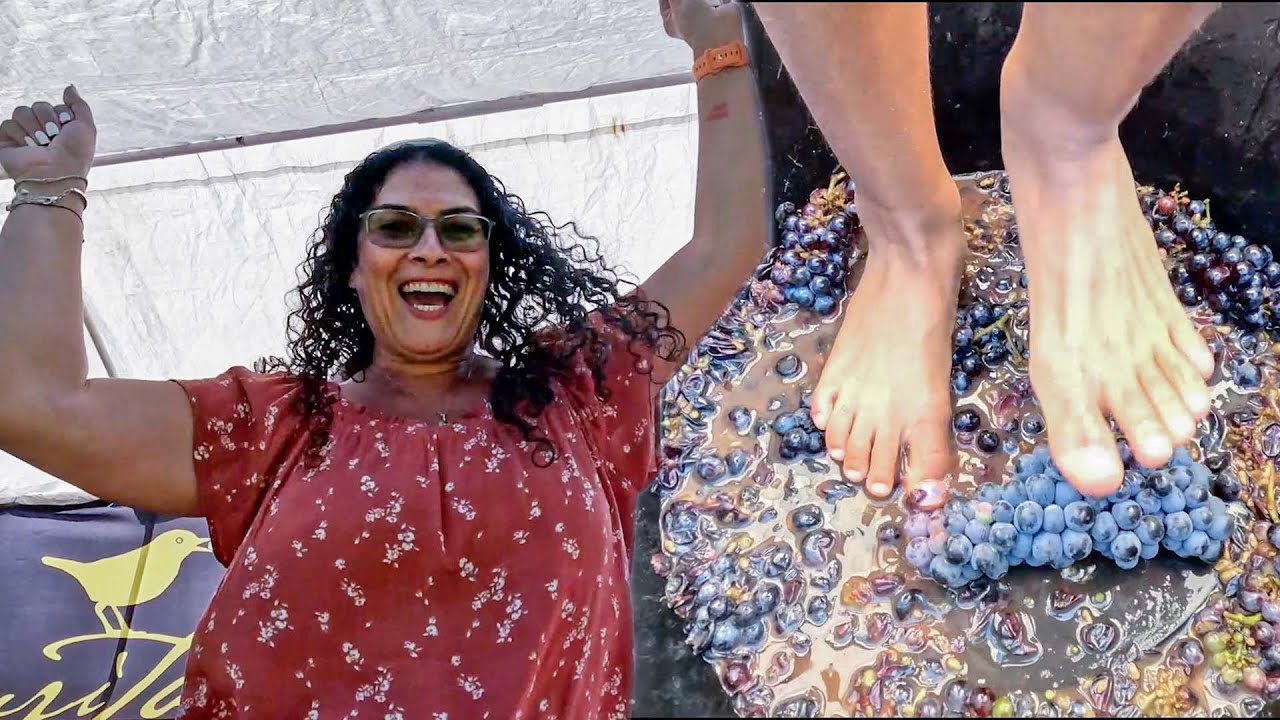 NJ Grape Stomping Festival gets guests 'feet-on' with wine-making tradition