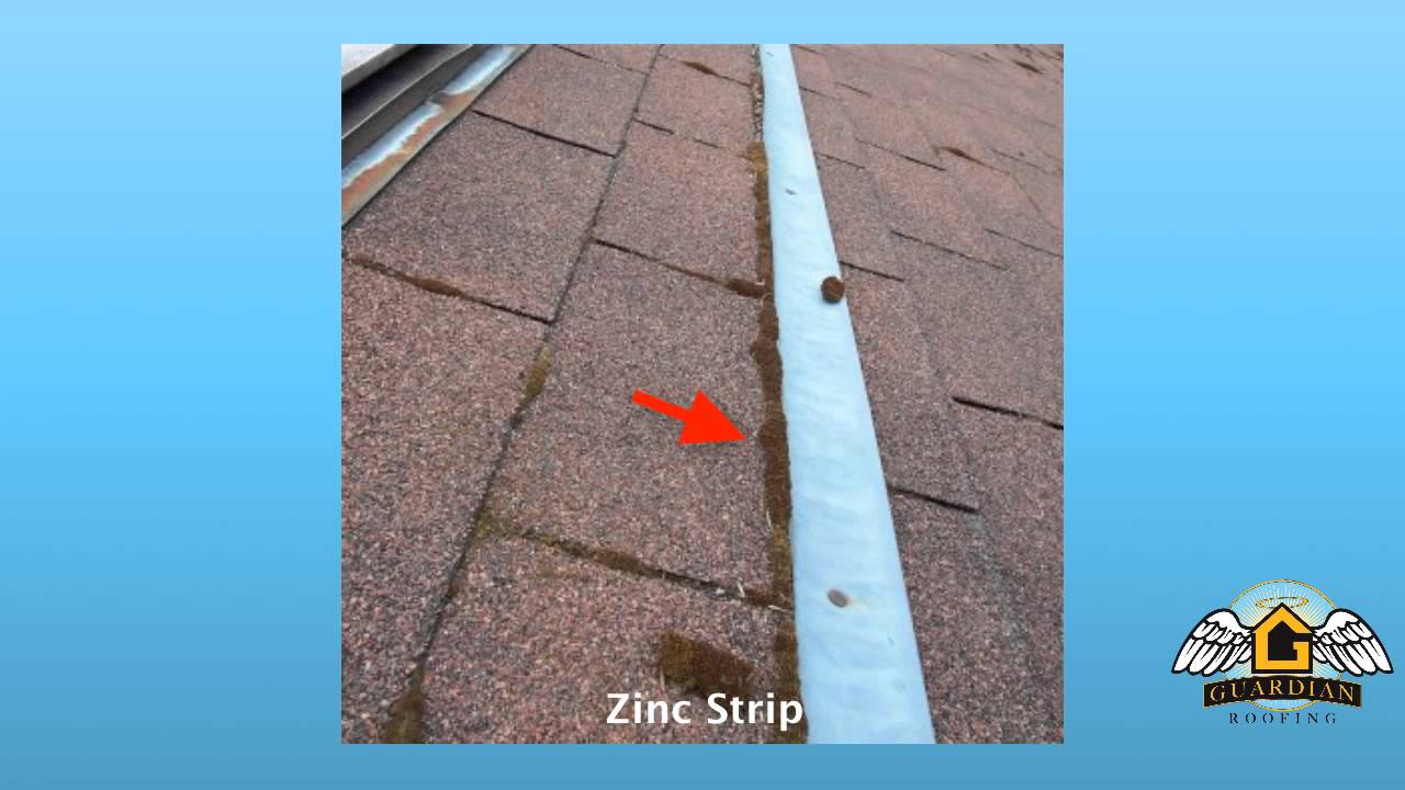 Bellevue Roof Cleaning Call Now (425) 533-0382