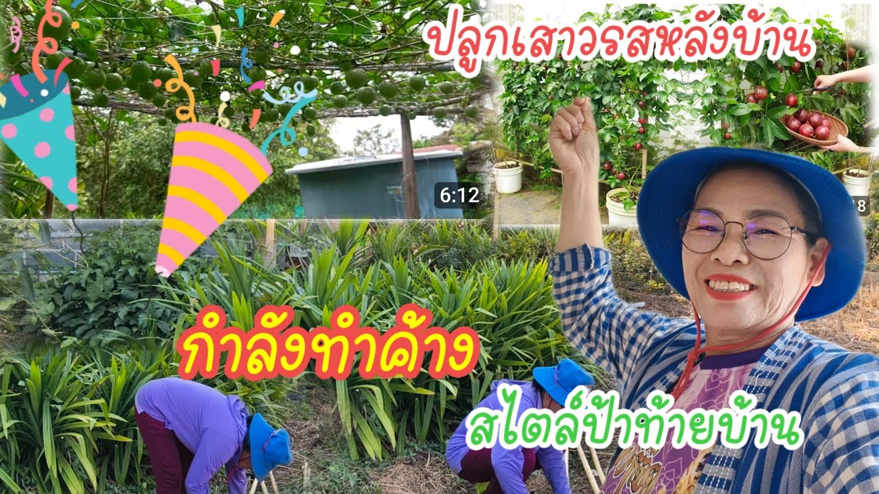 ทำค้างเสาวรสหลังบ้านใต้ต้นเตย