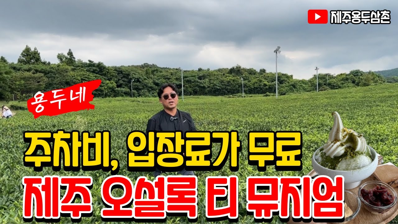 제주 서귀포 오설록 티 뮤지엄 주차비 입장료 무료 애견동반도 가능 가을여행 추천