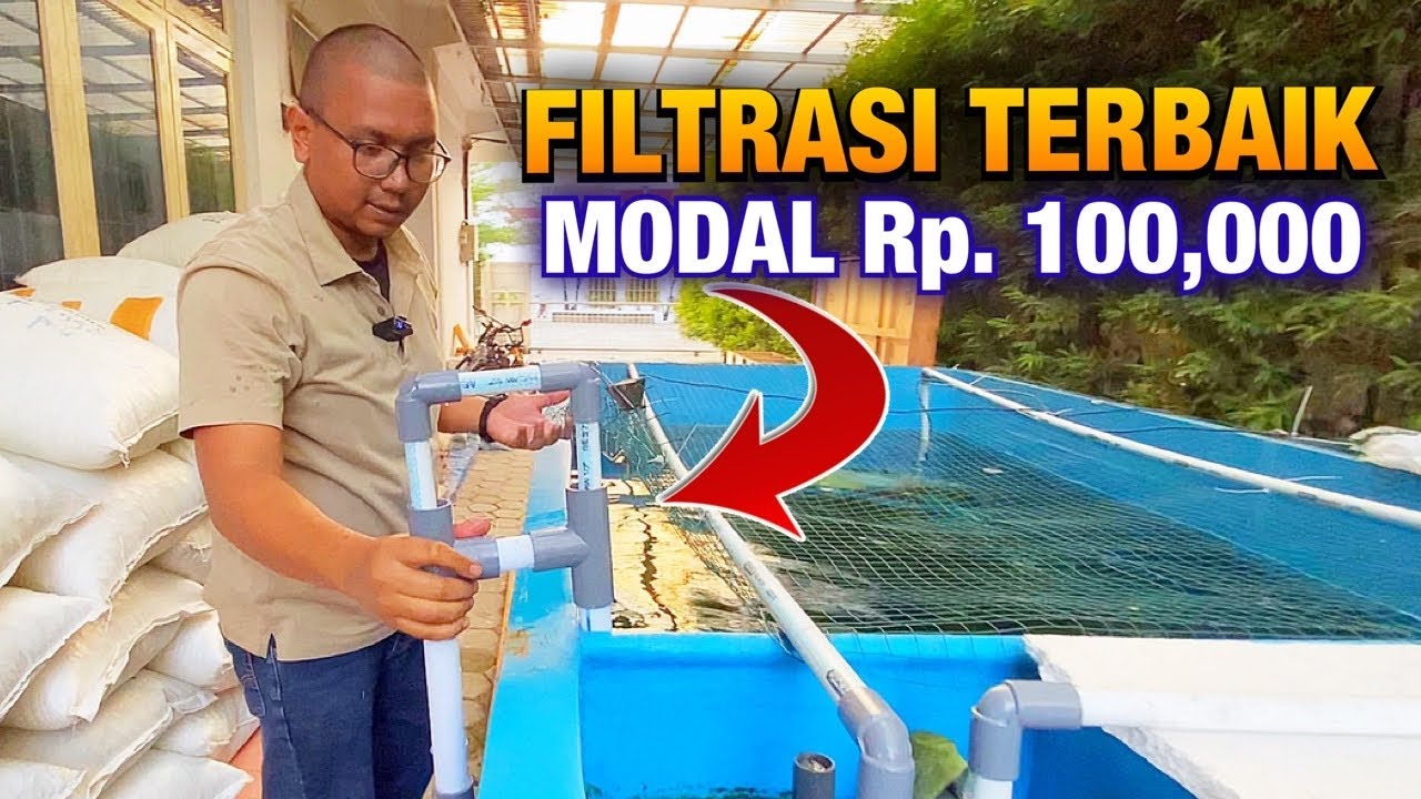 FILTRASI KOLAM IKAN EVAKUASI MEGATANK DI MODIF !!!