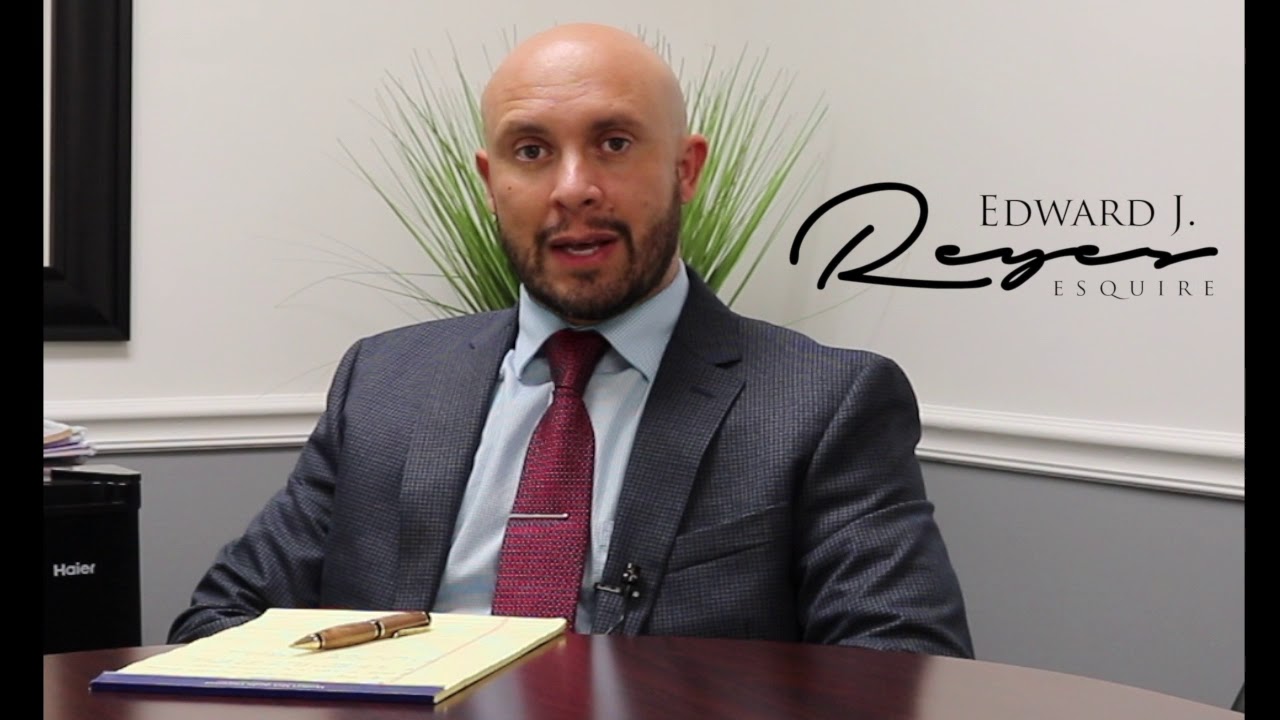 Tampa Bay Lawyer Explains Florida Dog Bite Liability | The Reyes Firm &ndash; Your Trusted Injury Lawyer