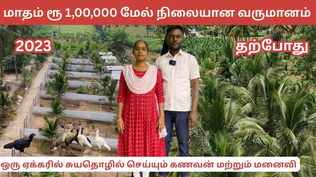 மாதம் ரூ 1,00,000 மேல் நிலையான வருமானம் தரும் கோழி வளர்ப்பு | AMS Peruvidai farm Salem