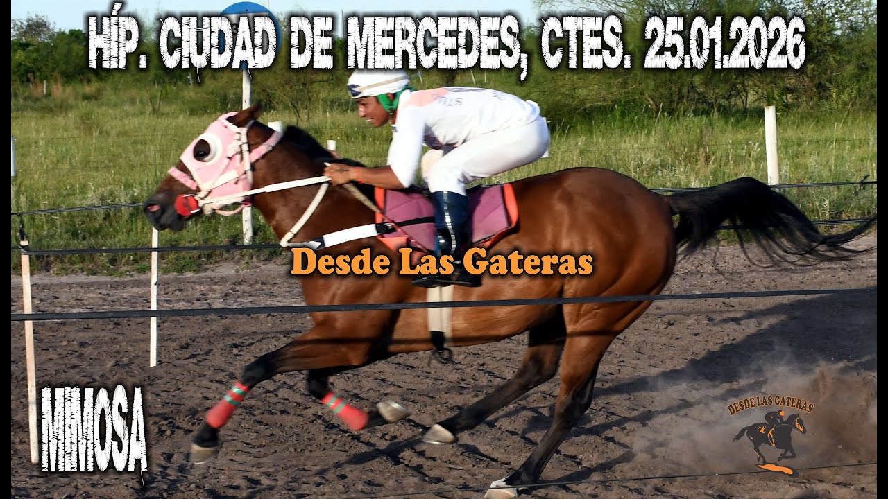 MIMOSA - HIPICO MERCEDES, MERCEDES, CORRIENTES, 25.'1.2026
