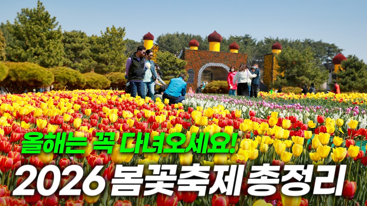 3·4·5월에 무조건 떠나세요ㅣ놓치면 후회하는 국내 봄꽃 축제 총정리✔️(+축제일정, 방문 꿀팁!)