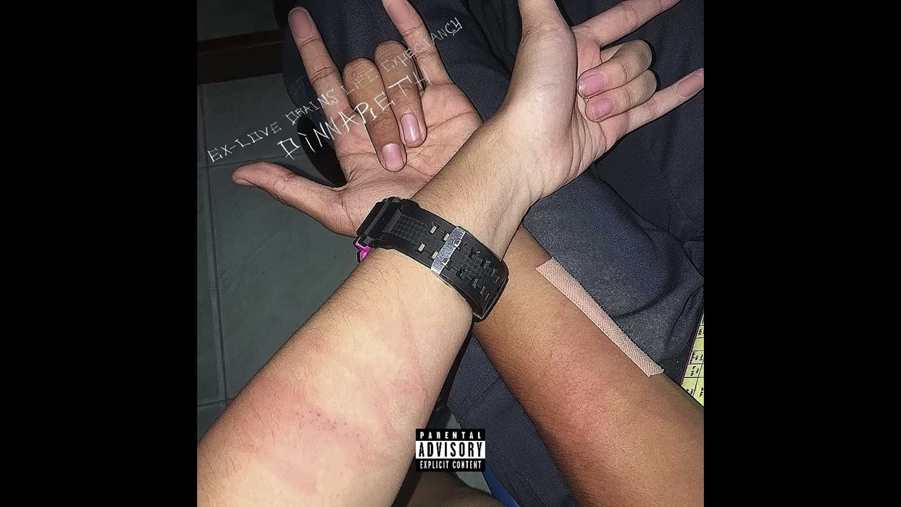 Pinnareth - BadBye (Official Audio)