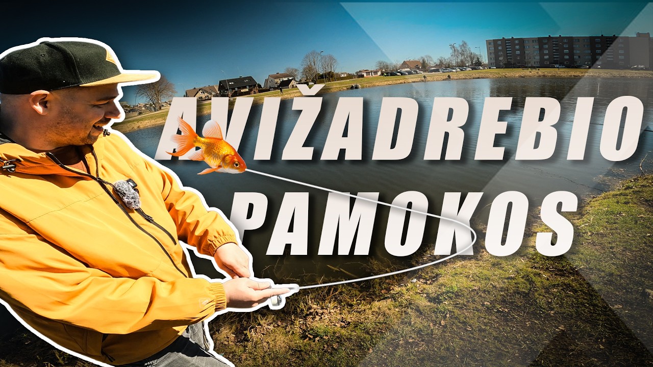 Mokiau @svarbeuselankiti kaip gaudyti AVIŽADREBIU. Kelios pamokos ir žuvys po žuvies!