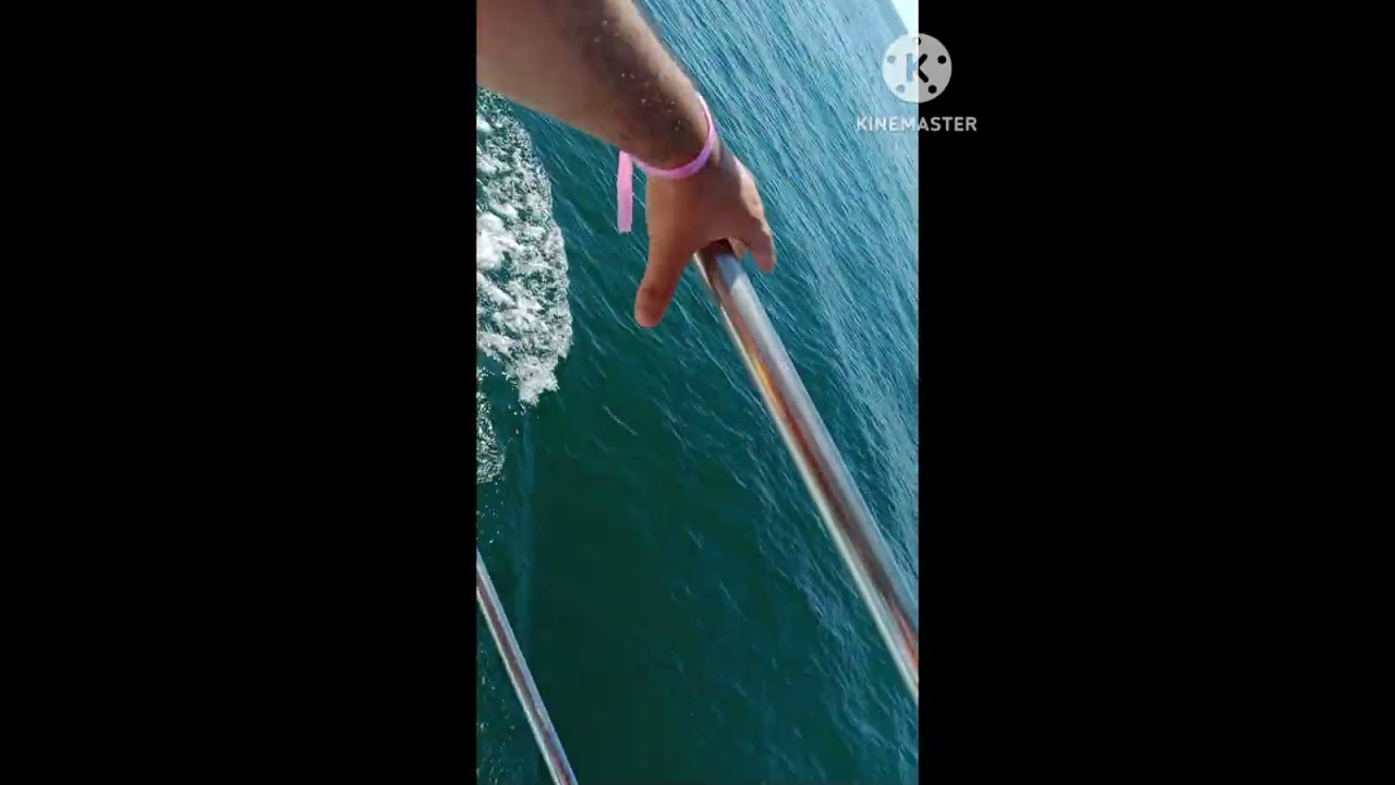Mi paseo en barco