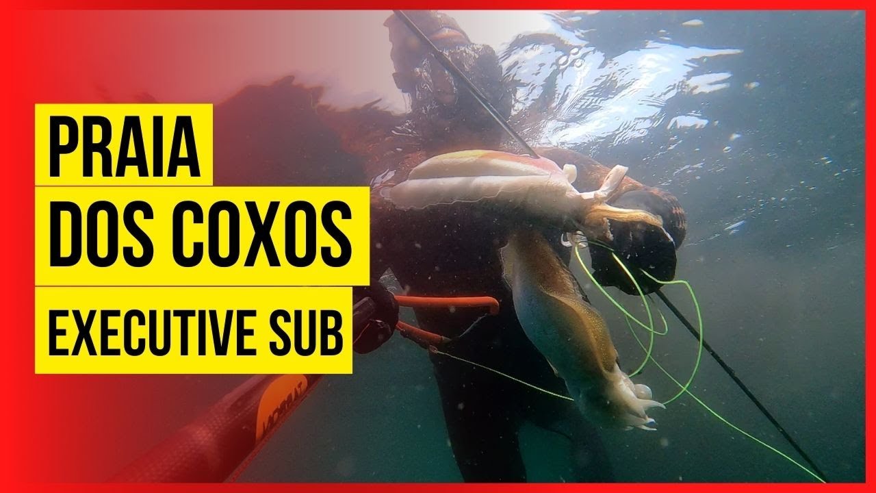 Chocos e Bodião nos Coxos (Pesca Submarina Ericeira, Portugal)