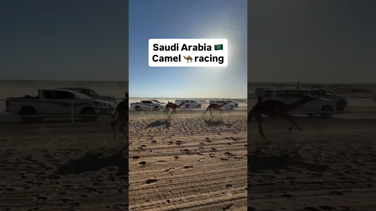 Camel Racing in Saudi Arabia 🐫🐫🐫