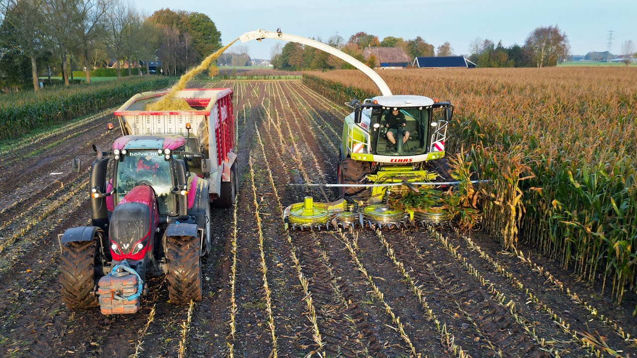 Mais Silage | Claas Jaguar 950 + Valtra | Dreierink | 2024