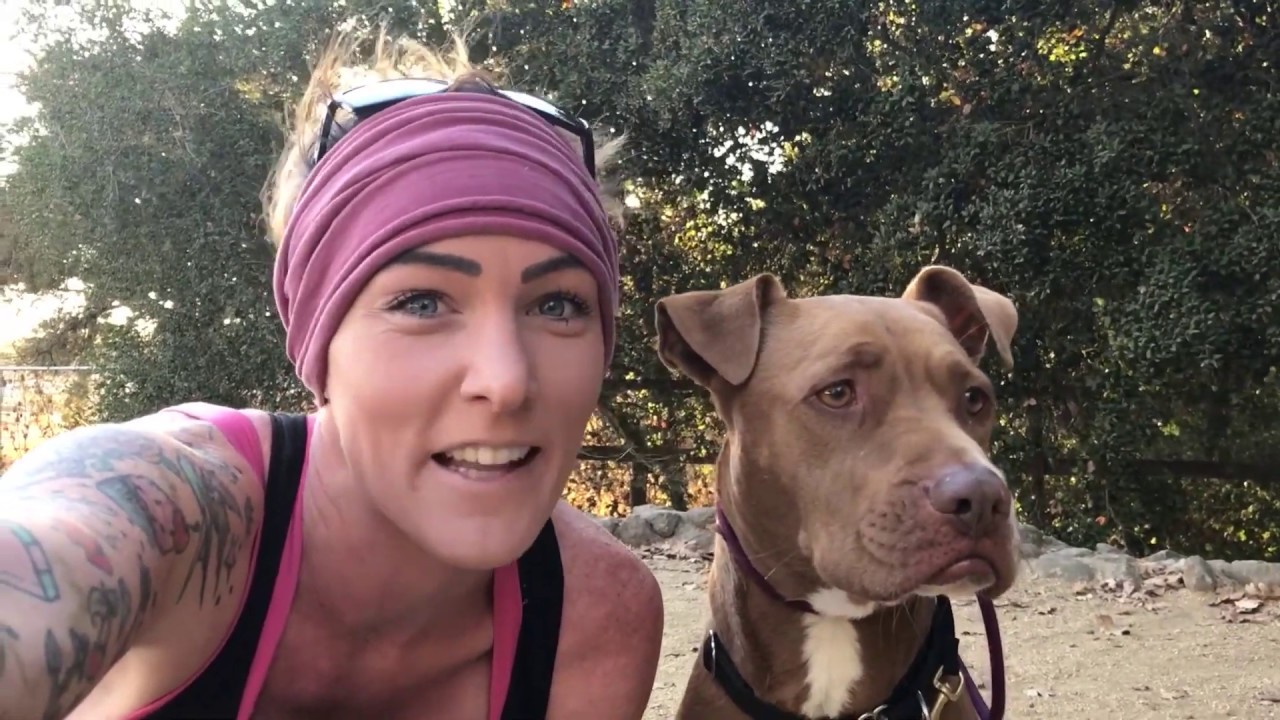 Fixing Your Dogs Anxiety Around Other Dogs