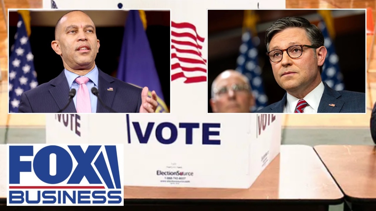 Both Republicans and Democrats want voter ID, RNC chair says