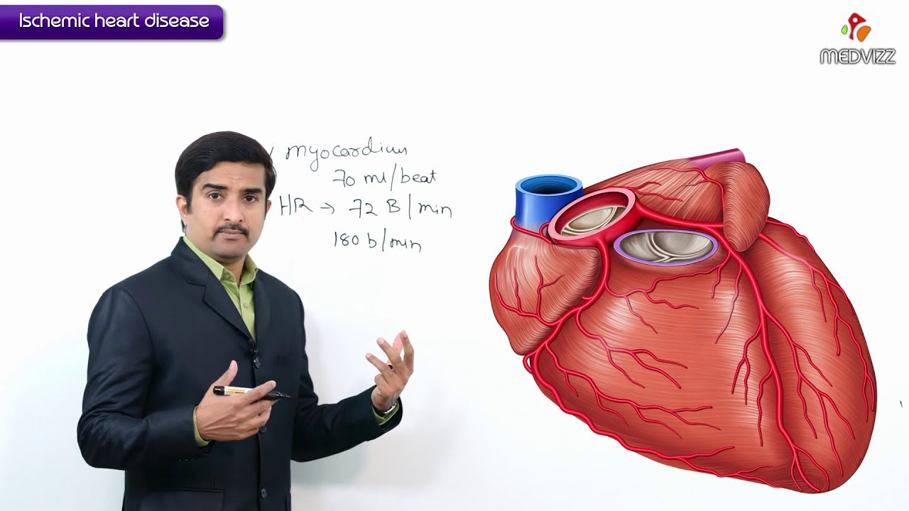 Ischemic Heart Disease / Coronary heart disease - Usmle step 1 : Definition and Coronary blood flow