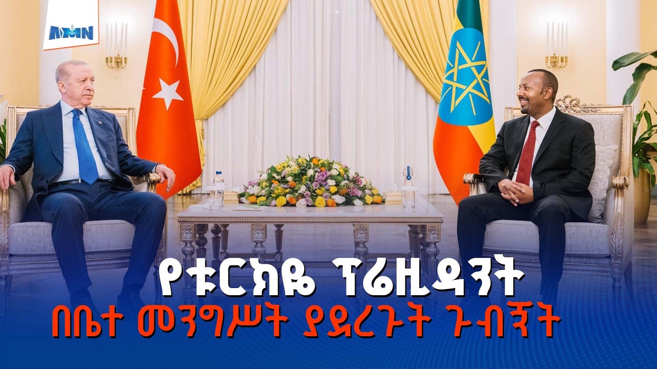 ለቱርክዬ ፕሬዚዳንት ረጀብ ጠይፕ ኤርዶዋን በቤተመንግስት አቀባበል