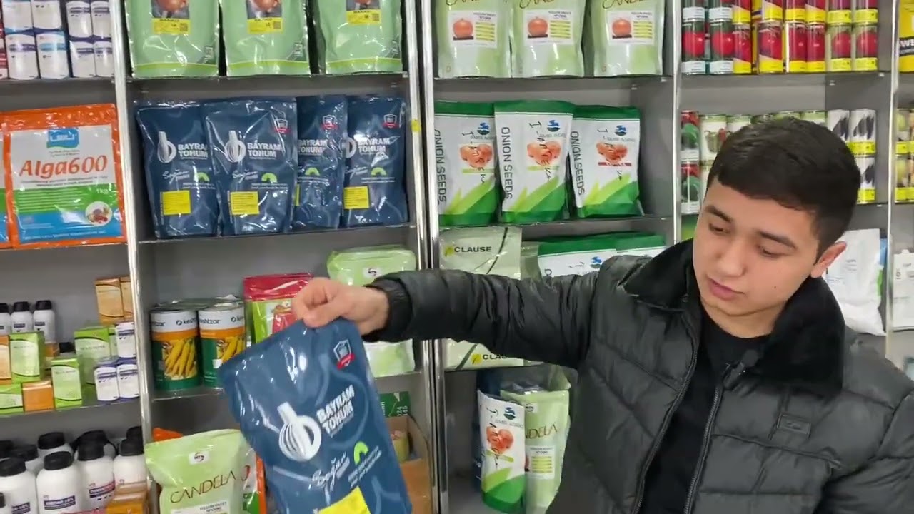 Piyoz uruĝlarimiz sotuvda 90 198 79 78