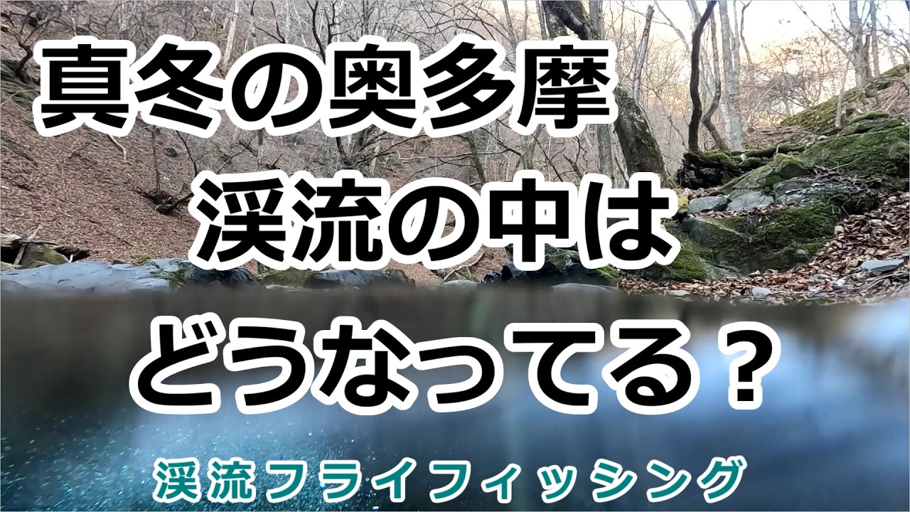 【2026年 奥多摩①】真冬の奥多摩　渓流の中はどうなっている？