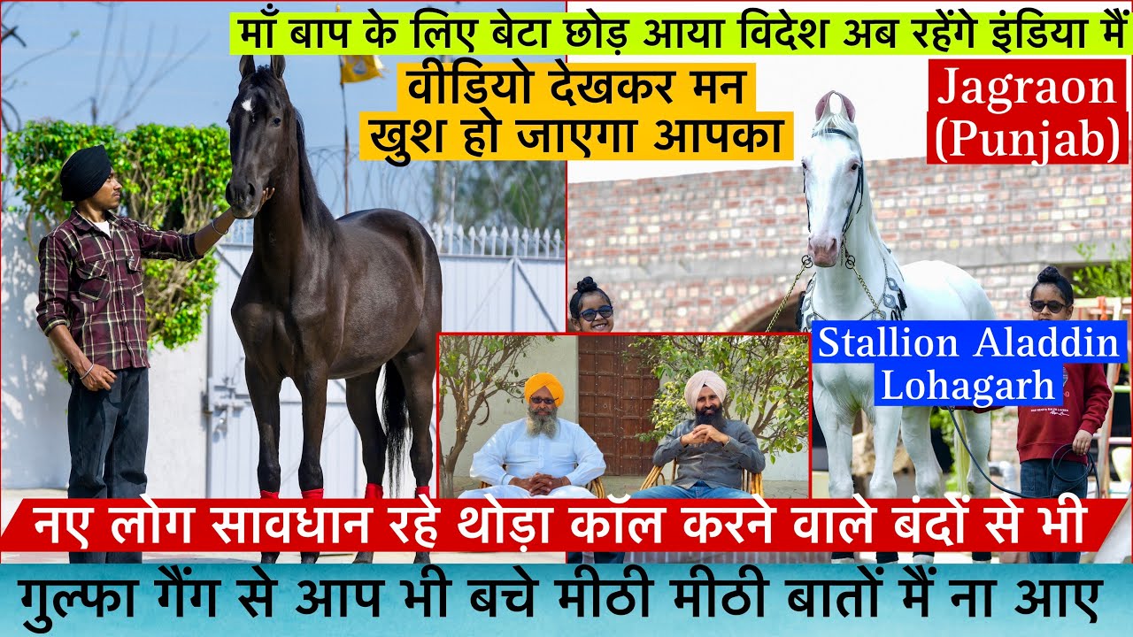 गुल्फा गैंग से आप भी बचे मीठी मीठी बातों मैं ना आए वीडियो देखकर आपका दिल खुश हो जायेगा!