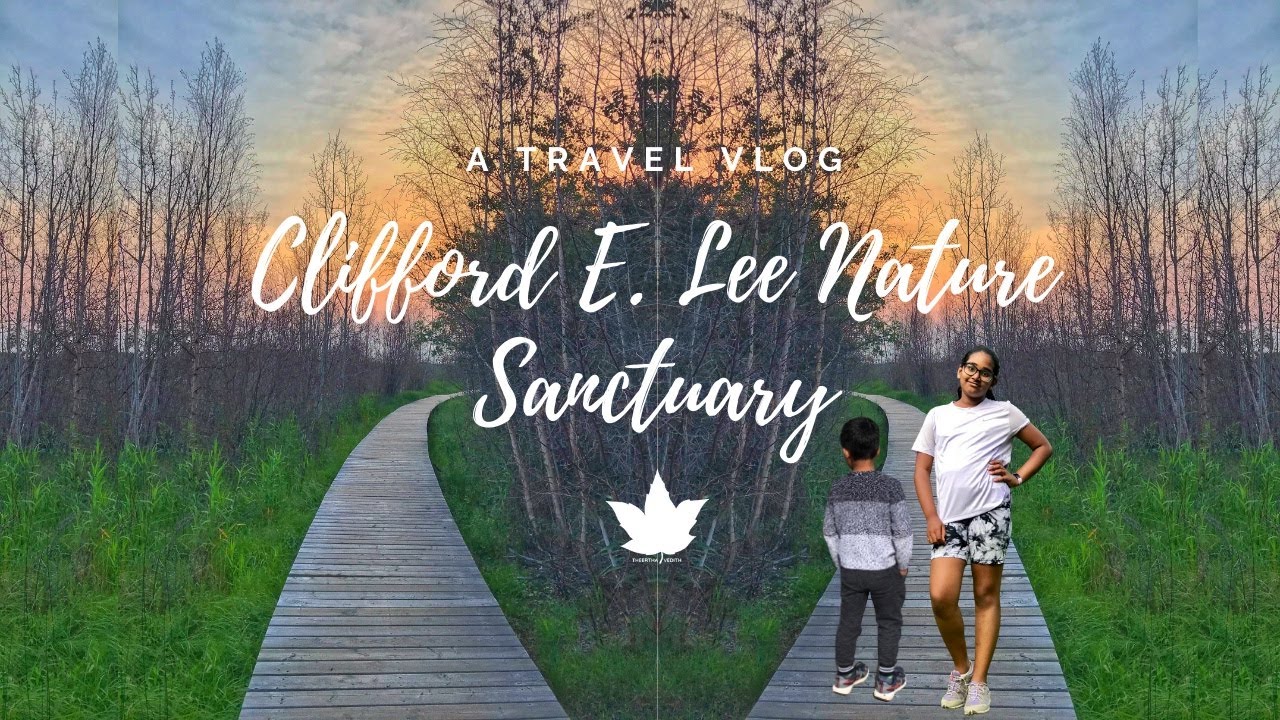 Clifford E. Lee Nature Sanctuary | Spruce Grove, AB - Canada | A Hidden Treasure