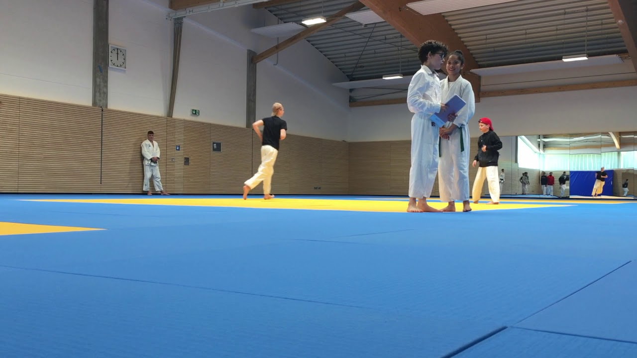 Vorführung der Judo Elite Schule Alter Teichweg Hamburg