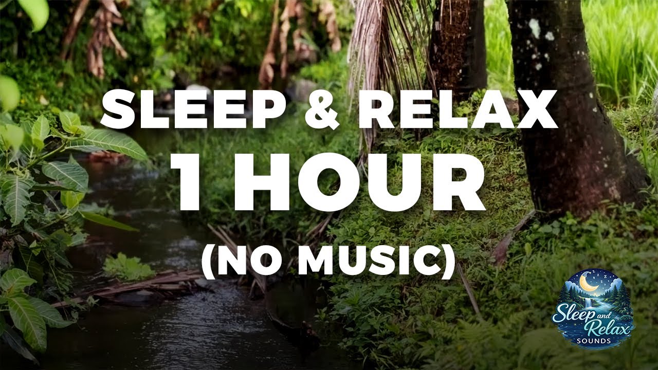 SLEEP & RELAX SOUND - Light Rain & River Flow • ASMR Sleep Sound (No Music) 1 HOUR for SLEEP & RELAX