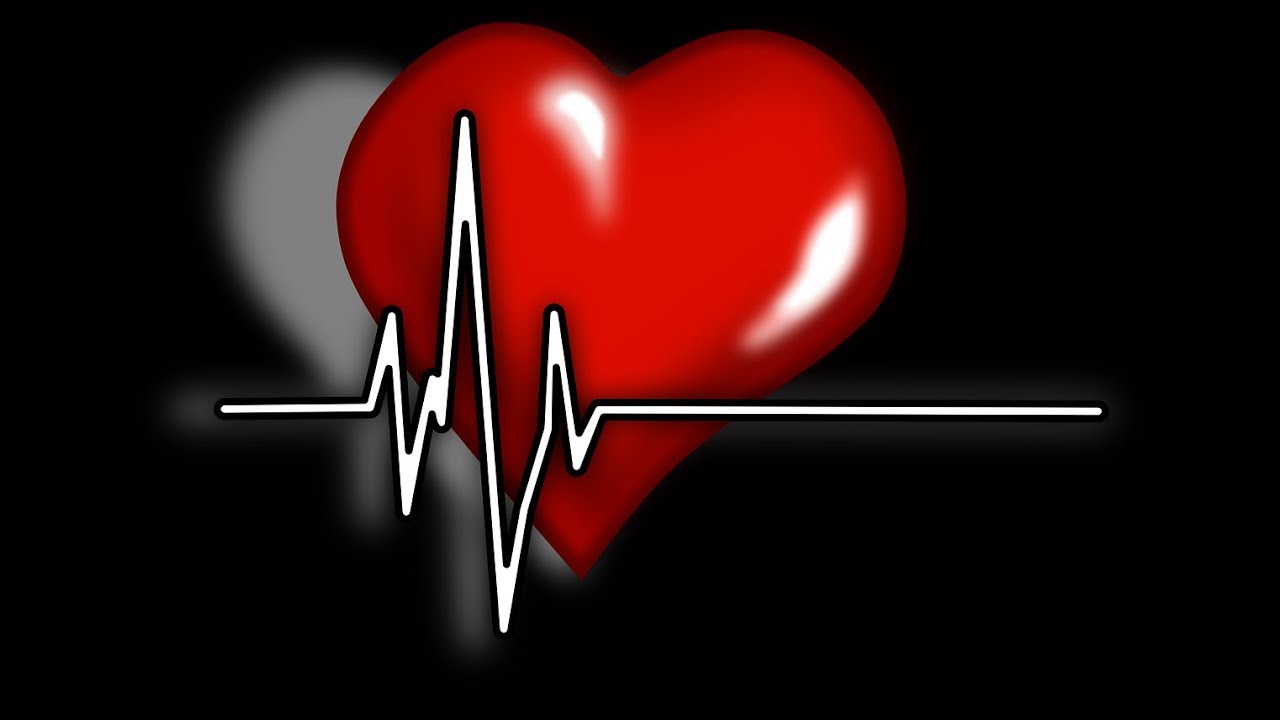 Cardiac Anatomy Case Study Review Crimes of the Heart